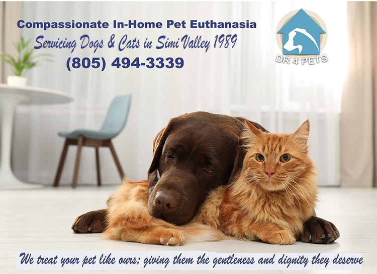 Simi Valley-at home dog euthanasia